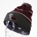 Holloway Reflective Pom Beanie - Montana Paw