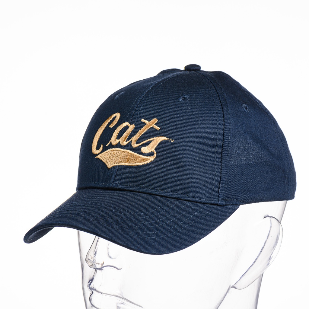 MSU Youth Cap