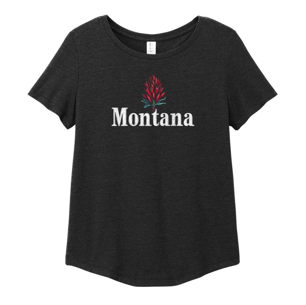 Minimal Indian Paintbrush - Women's Tri-Blend Scoop Neck Tee