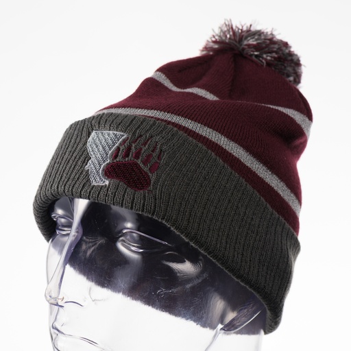[223816-EMTG2101-MRN] Holloway Reflective Pom Beanie - Montana Paw