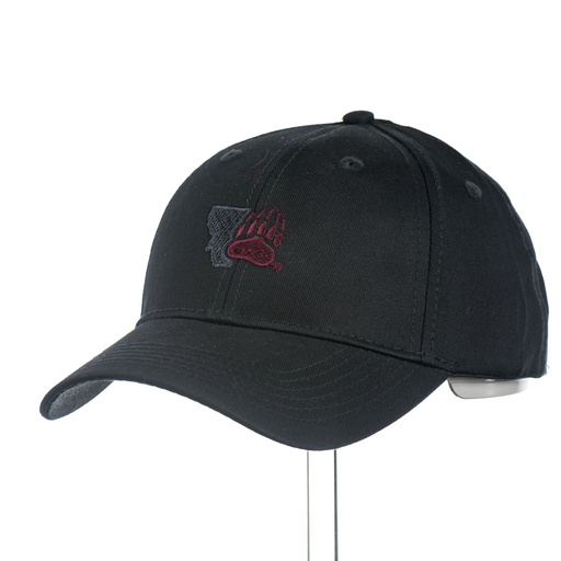Montana w/ Griz  Paw - Youth Cap