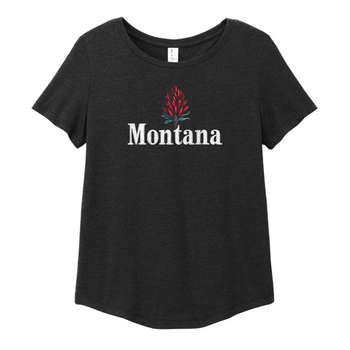 Minimal Indian Paintbrush - Women's Tri-Blend Scoop Neck Tee