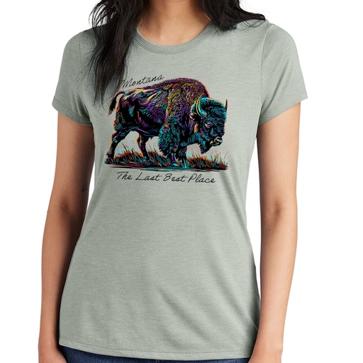 Many-Color Bison Montana - Women's Triblend Tee