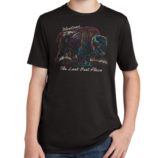 Many-Color Bison Montana - Youth Tri-Blend Tee