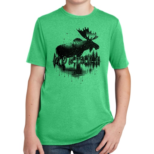 Moose Reflection Montana - Youth Tri-Blend Tee