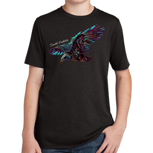 Many-Color Eagle - South Dakota - Youth Tri Blend Tee