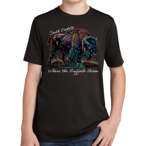 Many-Color Bison South Dakota - Youth Tri Blend Tee